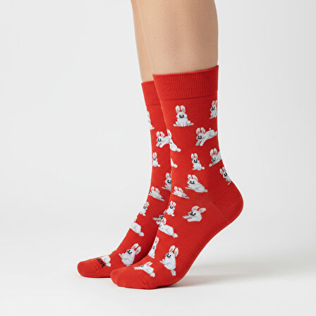 Rabbit Socks – Desenli Unisex Soket Çorap