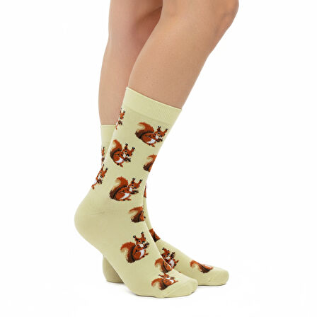Squirrel Socks – Desenli Unisex Soket Çorap