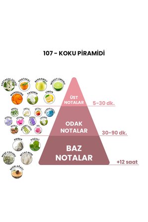 107 - Gio 50 ml Erkek Parfümü