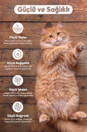 Petissimo Gourmet Gerçek Tavuklu Premium Yetişkin Kedi Maması 2,5 Kg - Kısırlaştırılmış, Düşük Tahıllı