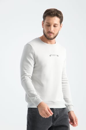 Taş Erkek Üç İplik Sweatshirt Regular Fit Pamuklu Bisiklet Yaka Günlük Spor Basic