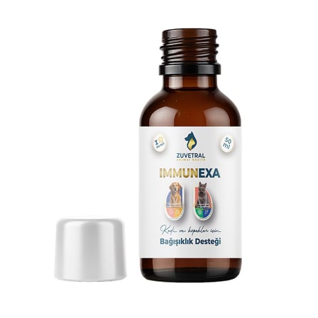 Züvetral İmmunexa 50 ml Viral İmmun Bağışıklık Destekleyici