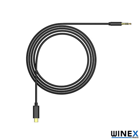 Global AX36 Type-C to 3.5mm Aux Ses Kablosu Siyah WNE0046