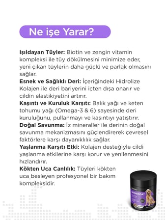 Cutepet Skin & Coat Köpek Deri ve Tüy Sağlığı Tableti 60 Adet – Omega 3-6-9, Biotin ve Kolajen Destekli