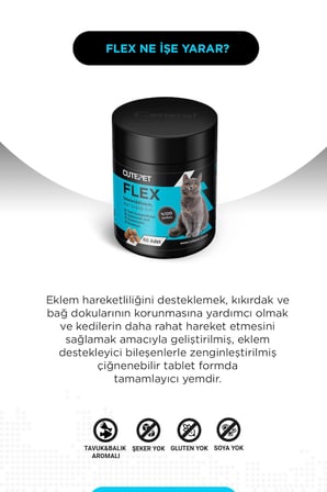 Kedi Aktif Yaşam Paketi