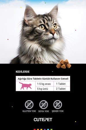 Kedi Aktif Yaşam Paketi