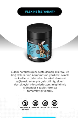 Köpek Aktif Yaşam Destek Paketi
