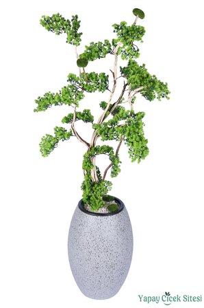 Yapay Çiçek Sitesi Fiber Saksıda Doğal Gövdeli Bonsai Yapay Ağaç 190 Cm