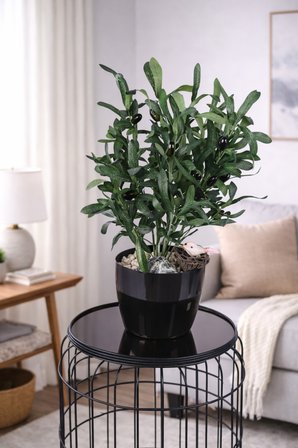 Yapay Çiçek Sitesi Siyah Plastik Saksıda Yapay Zeytin Ağacı 50 cm