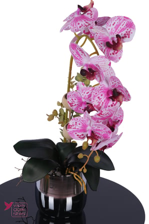 Yapay Çiçek Sitesi Metal Gümüş Saksıda Yapay Premium Orkide Tanzimi 50 cm Fuşya Pembe