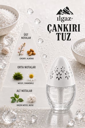 ILGAZ Çankırı Tuz Kokulu Araç, WC, Oda ve Ortam Kokusu 100 ml | Ferah Kalıcı Kavanoz Koku