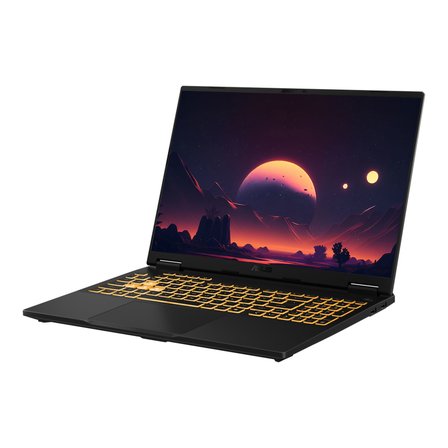 Asus TUF Gaming F16 FX608JM-RV076H522 i5-13450HX 64GB 1TBSSD+2TBSSD RTX5060 16" WUXGA W11P Dizüstü Bilgisayar