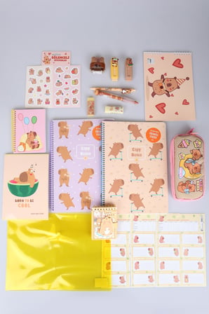 Capybara 20 Parça Kırtasiye Seti A4 Defter,Kalem Çantası A7 Not Defteri, Silgi, Kalemtraş,0.7 Mm Uçlu Kalem