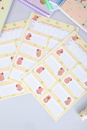 Capybara Kırtasiye Seti 4 Adet Stickerlı A4 Defter,Not Defteri, Silgi, Kalemtraş,0.7 Mm Uçlu Kalem