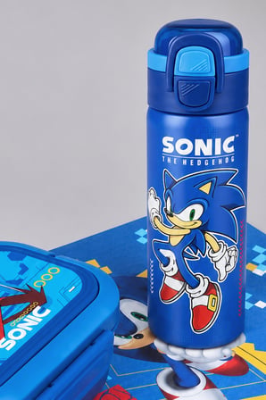 x Dekomus Lisanslı Sonic 600 ML Çift Fonksiyon Kapaklı Çelik Matara,Beslenme Kabı ve Beslenme Örtüsü Seti