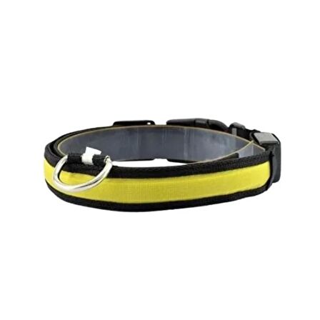 Petzz Işıklı Ayarlanabilir Flaşörlü Kedi Ve Köpek Boyun Tasması Sarı 35-43 Cm / 2.5 Cm