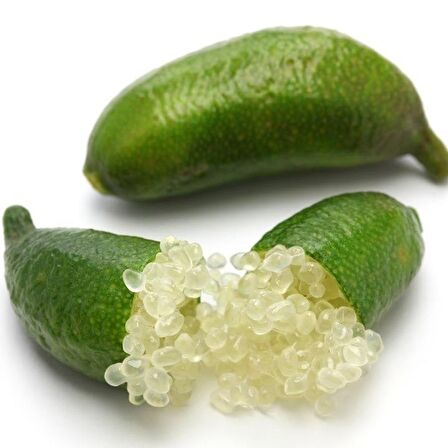 Tüplü Nadir Çeşit  Finger Lime Limon Fidanı (10-30 cm )