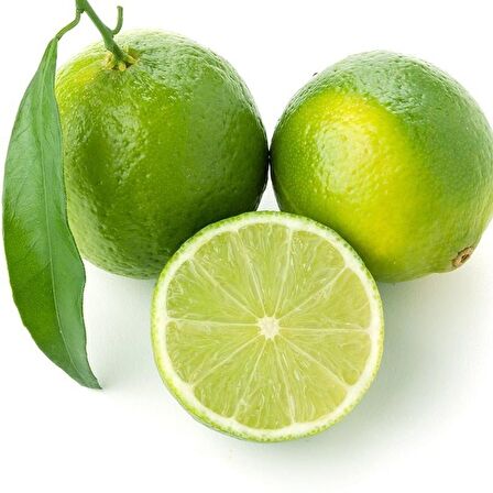 Tüplü Aşılı Tahiti Lime Quat (Çekirdeksiz Limon) Fidanı