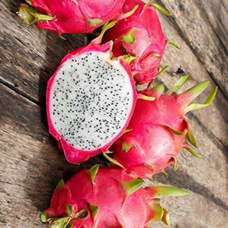 Tüplü Beyaz Pitaya Ejder Meyvesi Fidanı