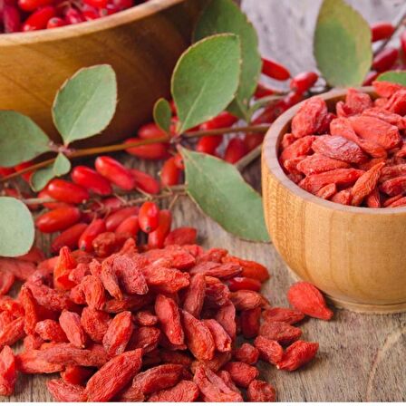 Tüplü Goji Berry Kurt Üzümü Fidanı (10 Adet)