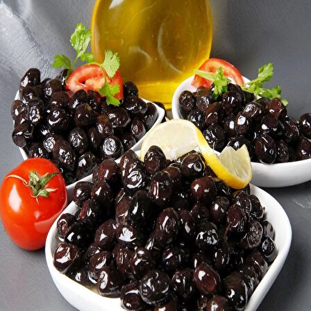 Tüplü Salamuralık Gemlik Trilye Zeytin Fidanı