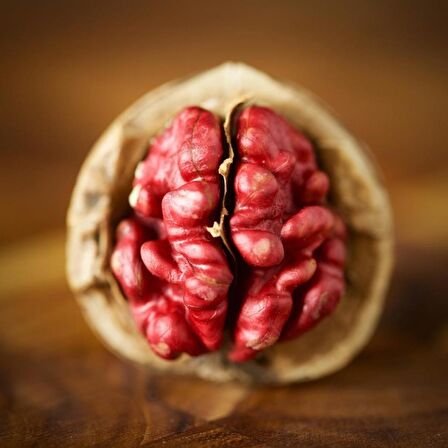 Tüplü Aşılı Kırmızı Ceviz Fidanı