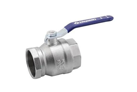 Klepsan 205 Küresel Vana Eko 1 1/2 