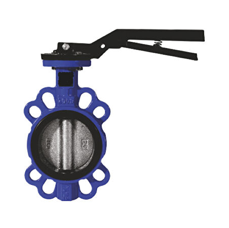 Klepsan 1163 Dn 80 Pn16 Ağır Tip Kelebek Vana 