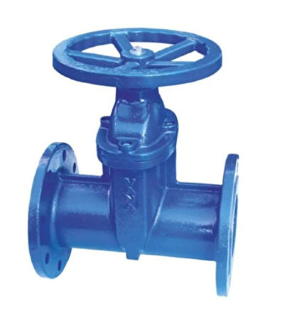 Klepsan 1170 Elastomer Sürgülü Vana F5 Gg40 