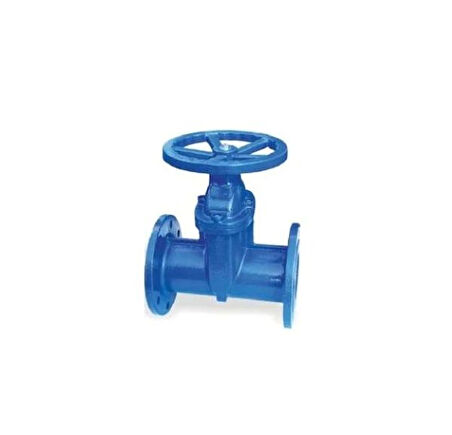 Klepsan 1181 Elastomer Sürgülü Vana F4 Gg40 Dn65 