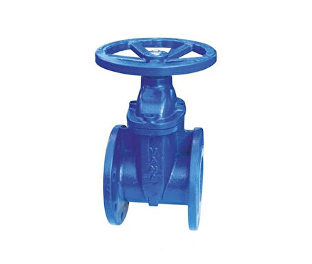 Klepsan 1188 Elastomer Sürgülü Vana F4 Gg40 Dn 300 