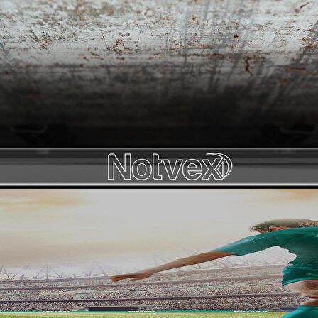 Notvex 65'' inç 165 Ekran Uyumlu TV Ekran Koruyucu