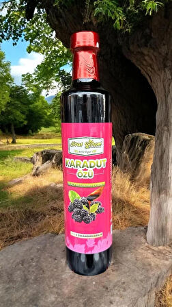 karadut özü 700 g