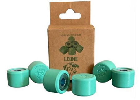 AĞIRLIK SETİ SPACY LEONE 10 gr