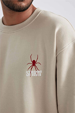 Unisex Oversize Spirit Sweatshirt
