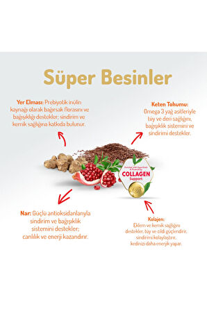 12 Kg Kolajenli Somonlu Az Tahıllı Kısırlaştırılmış Kedi Maması