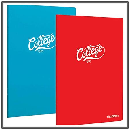 Çınar College 80 Yaprak Kareli A4 Defter Pp Kapak