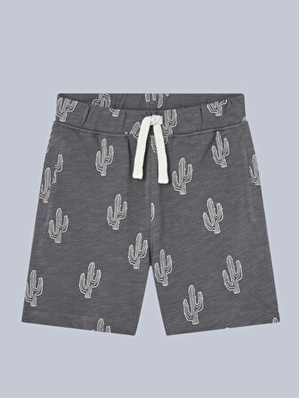 Losan Erkek Çocuk Şort 2-8 Yaş Füme