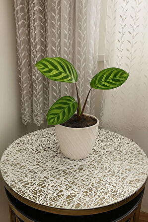 Yuvarlak Orta Sehpa Örtüsü Silinebilir Su Geçirmez Dantel Desenli Masa örtüsü Lüx Sofra Bezi.