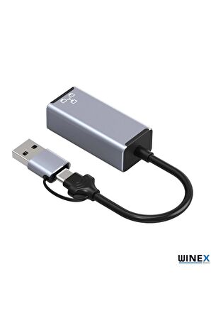 Global 2in1 USB ve Type-C to RJ45 Ethernet Adaptörü WNE0164