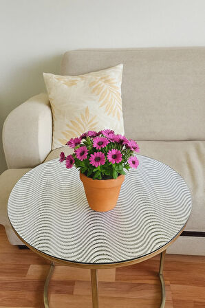 Yuvarlak Gümüş Orta Sehpa Masa Örtüsü – PVC, Dantelli, Paralel Çizgili, Şeffaf