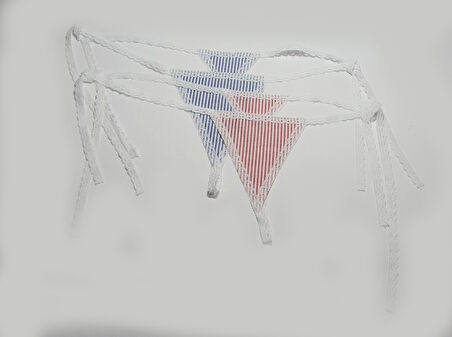 ASM1226 Kadın 2 Li Renkli Lilianna Monna Fanny String