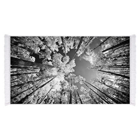 Dekoreko İpek Halı Dijital Saçaklı 1902 Desen 1