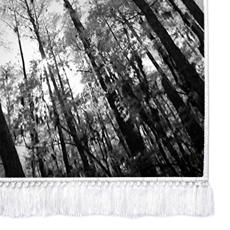 Dekoreko İpek Halı Dijital Saçaklı 1902 Desen 1