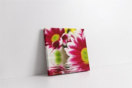 Çiçeğin Üzerinde Su Damlacıkları Kanvas Tablo