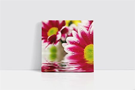 Çiçeğin Üzerinde Su Damlacıkları Kanvas Tablo