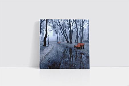 Kar Yağışıyla Buz Tutmuş Park Kanvas Tablo