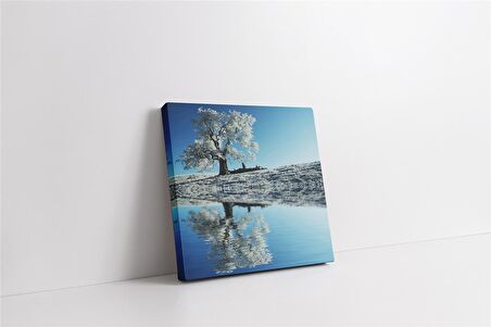 Tek Ağaç ve Gelincik Kanvas Tablo