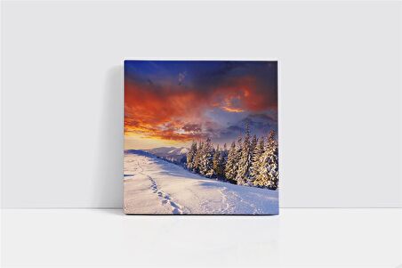 Karlar Altında Kalmış Orman Kanvas Tablo