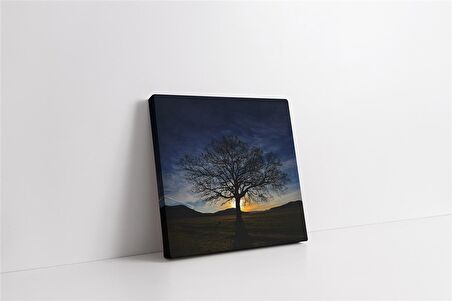 Ağaç Kanvas Tablo